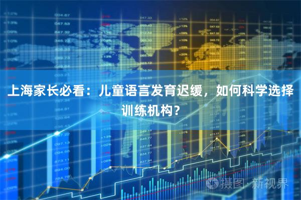 上海家长必看：儿童语言发育迟缓，如何科学选择训练机构？