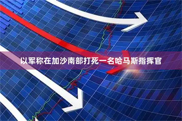 以军称在加沙南部打死一名哈马斯指挥官