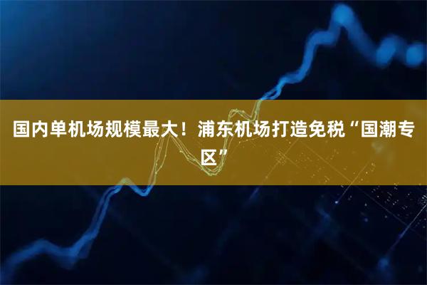 国内单机场规模最大！浦东机场打造免税“国潮专区”