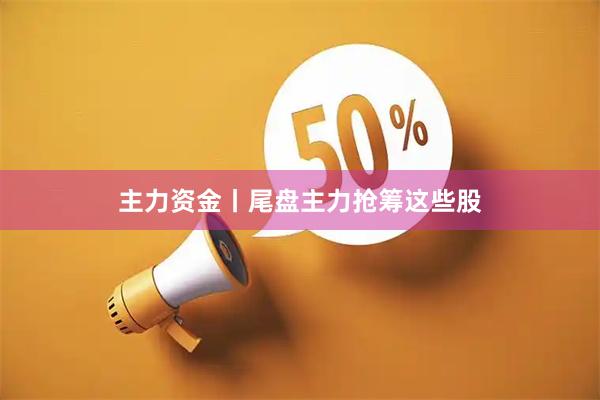 主力资金丨尾盘主力抢筹这些股